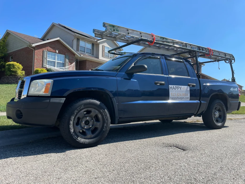 pest control covington ky