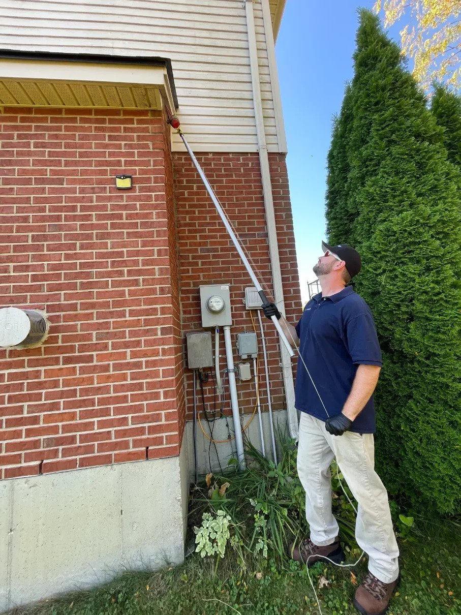 exterminators Cold Spring KY
