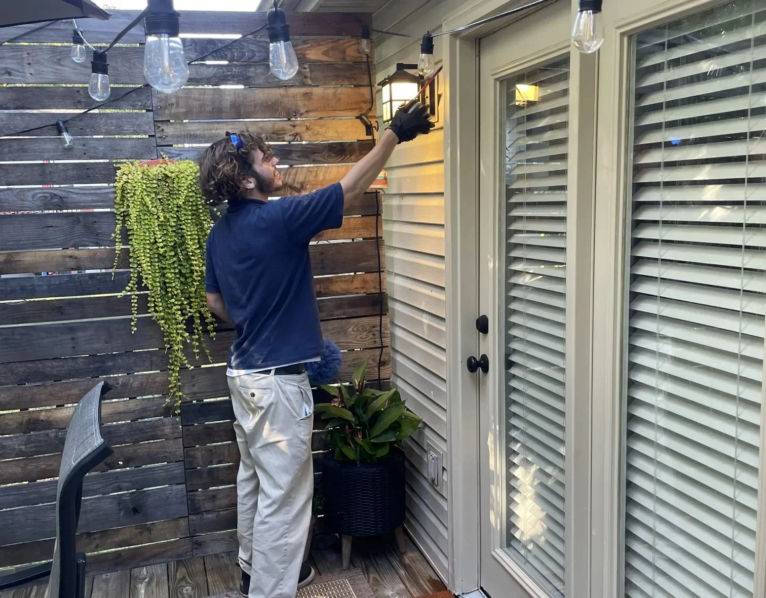 Pest Control Wilder KY