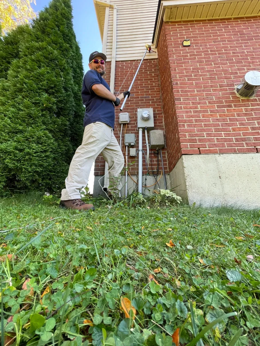 pest control wilder