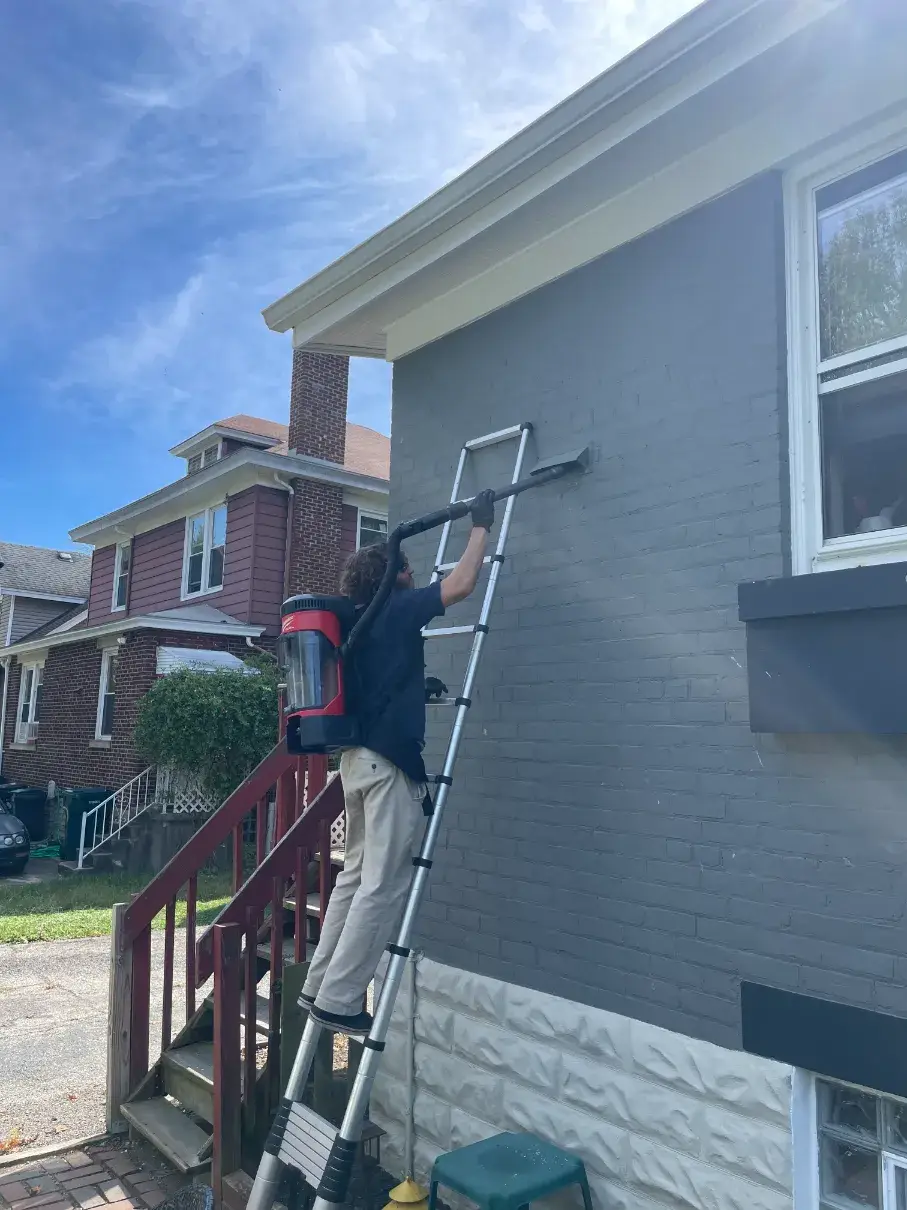Pest Control Cold Spring