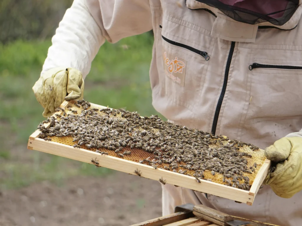 exterminator Cold Spring