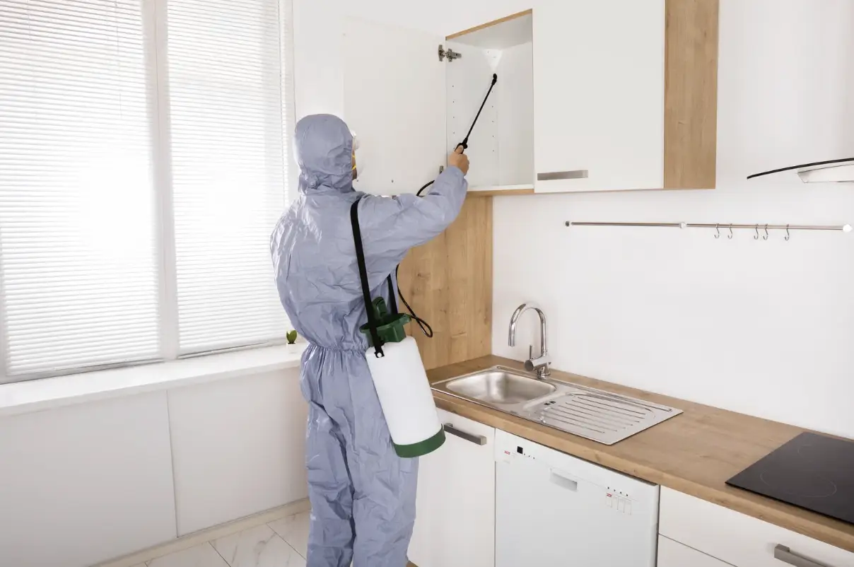 exterminator covington ky