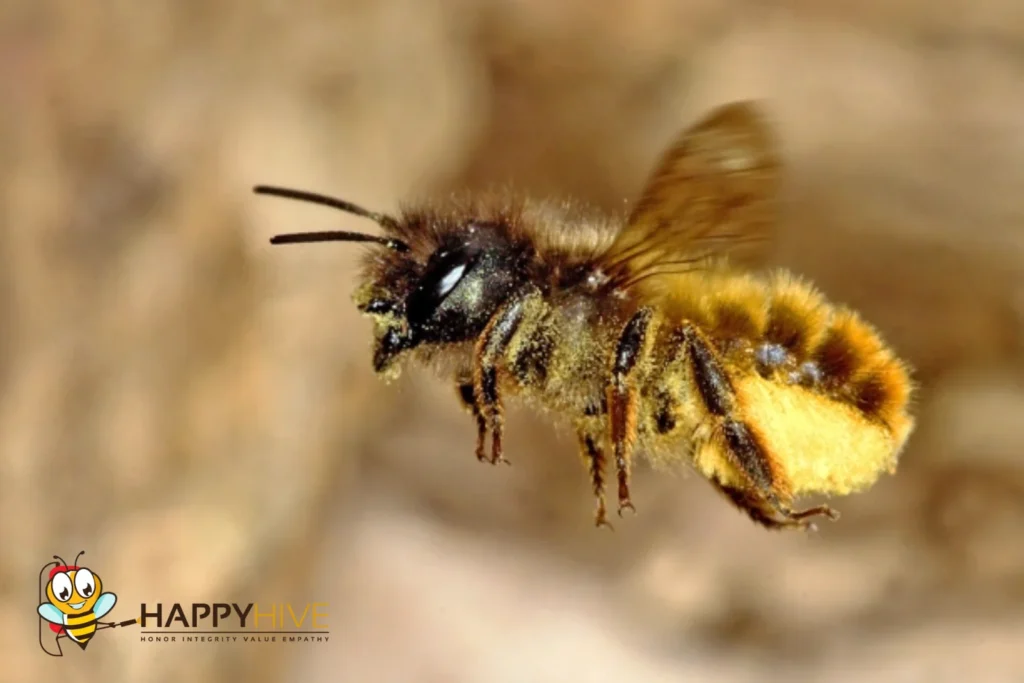 Pest Control service in Wilder KY