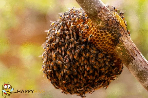 Pest Control services in Goshen, oh