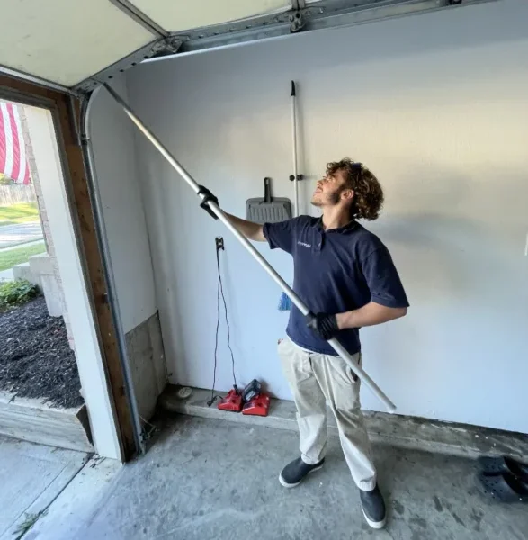 Reliable Pest Control Services in Middletown, OH