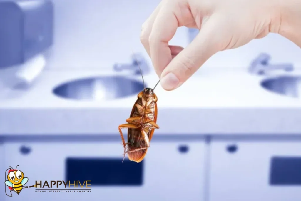 cockroach