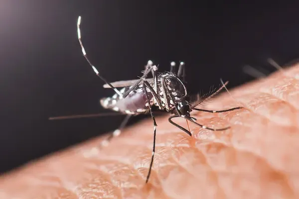 Cincinnati OH HiveGuard Mosquito Defense